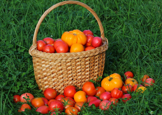1230699 (a): :2500x1775